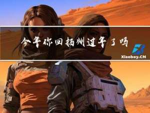 今年你回扬州过年了吗英文