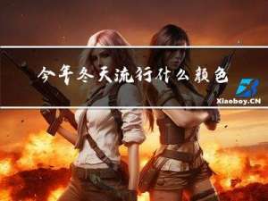 今年冬天流行什么颜色的羽绒服