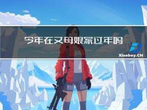 今年在丈母娘家过年吗