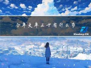 今年大年三十有什么节目