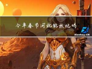 今年春节河北能放炮吗