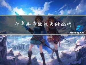 今年春节能放火鞭炮吗