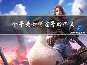 今年是如何过年的作文开头
