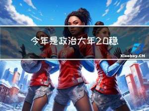 今年是政治大年 稳定