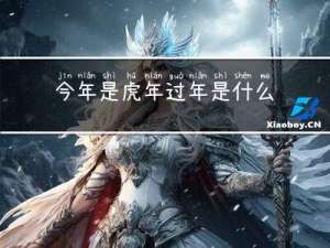 今年是虎年过年是什么年