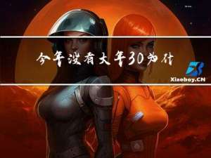 今年没有大年30为什么