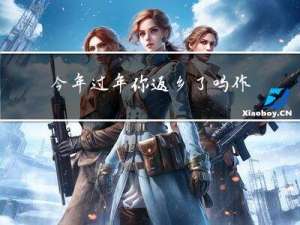 今年过年你返乡了吗作文