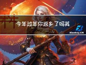 今年过年你返乡了吗英语