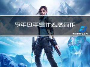 今年过年是什么感受作文