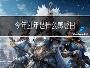 今年过年是什么感受日记