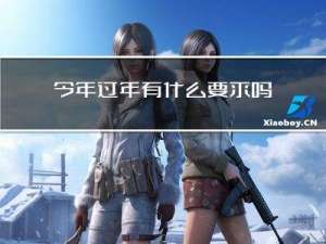 今年过年有什么要求吗