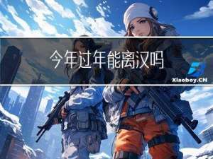 今年过年能离汉吗