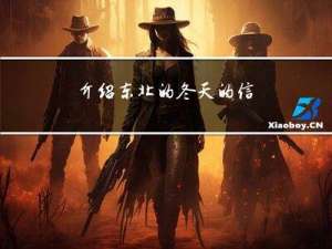 介绍东北的冬天的信