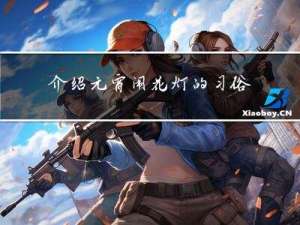 介绍元宵闹花灯的习俗作文