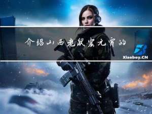 介绍山西老鼠窟元宵的作文