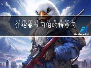 介绍春节习俗的特点习作