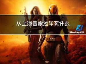 从上海回家过年买什么