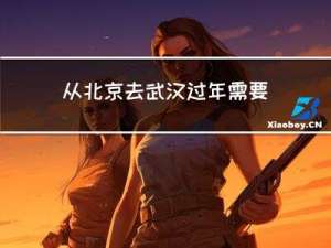 从北京去武汉过年需要什么
