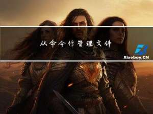 从命令行管理文件