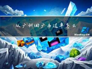 从广州回广西过年怎么过