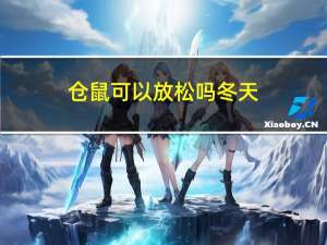 仓鼠可以放松吗冬天