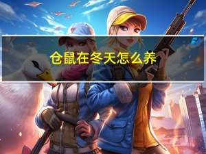 仓鼠在冬天怎么养