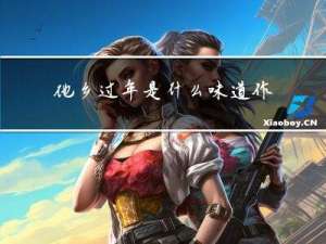 他乡过年是什么味道作文