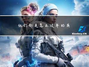 他们都是怎么过年的英文