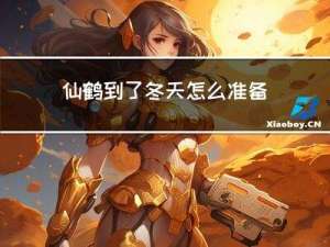 仙鹤到了冬天怎么准备过冬