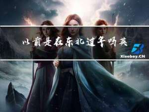 以前是在东北过年吗英语