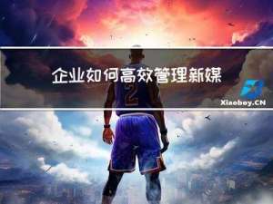 企业如何高效管理新媒体矩阵账号？提升运营效率，监管内容风险