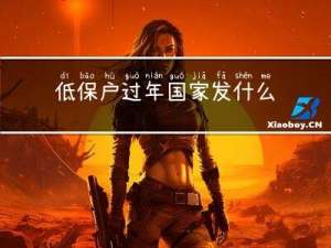 低保户过年国家发什么