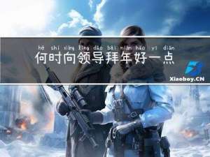 何时向领导拜年好一点