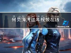 何炅海涛过年视频在线观看