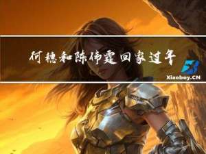 何穗和陈伟霆回家过年