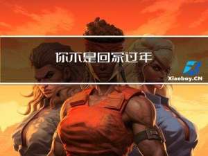 你不是回家过年