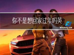 你不是想回家过年吗英语