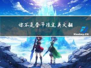 你不是春节限定英文翻译