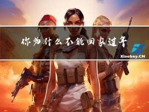 你为什么不能回家过年吗