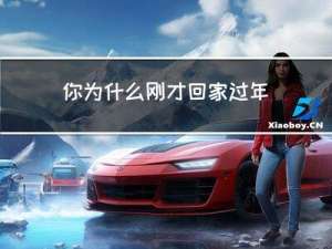 你为什么刚才回家过年