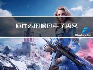 你什么时候过年了英文