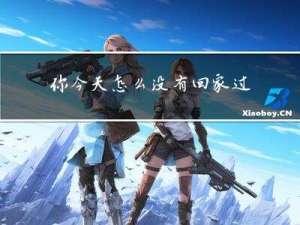 你今天怎么没有回家过年