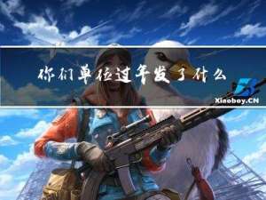 你们单位过年发了什么福利