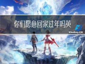 你们愿意回家过年吗英语