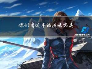 你们有过年的滋味吗英语