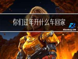 你们过年开什么车回家英语