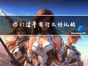 你们过年有什么好玩的事