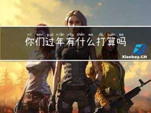 你们过年有什么打算吗