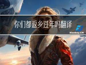 你们都返乡过年吗翻译