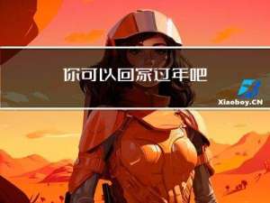 你可以回家过年吧